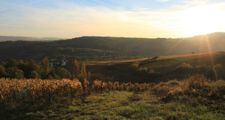 Vignoble des Hautes Côtes de Beaune 