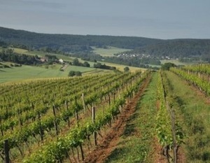 Hautes-Côtes de Nuits à Curtil-Vergy - Vignoble DPH Patrick Hudelot à  Villars-Fontaine