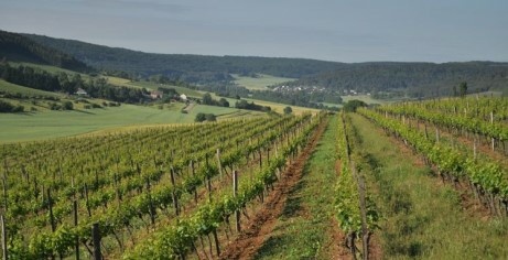 Hautes-Côtes de Nuits à Curtil-Vergy - Vignoble DPH Patrick Hudelot à  Villars-Fontaine