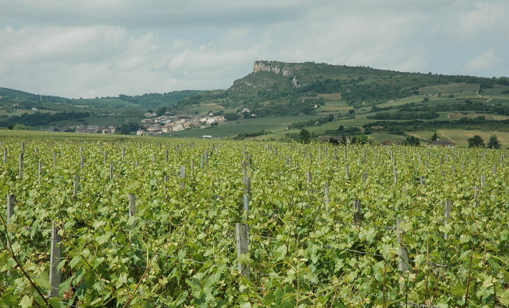 Davayé - Vue vers le village de Solutré-Pouilly et la Roche de Solutré 