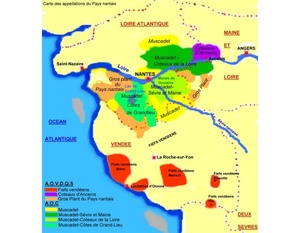 Carte des appellations viticoles du Pays nantais