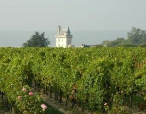 Vignobles Couly-Dutheil surplombant le Château de Chinon