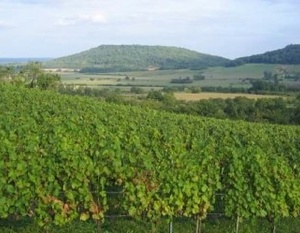 Côtes de Toul à Bruley