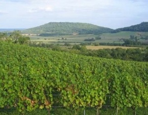 Côtes de Toul à Bruley