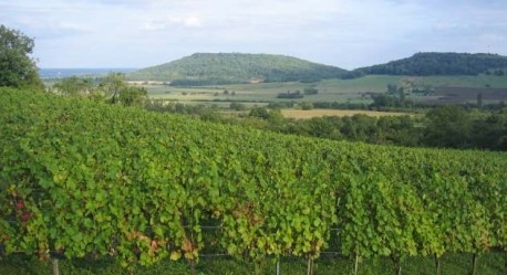 Côtes de Toul à Bruley