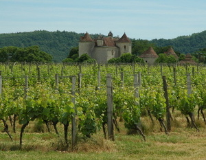 Sud-Ouest - Vignoble de Cahors - Château la Grezette - © M.CRIVELLARO