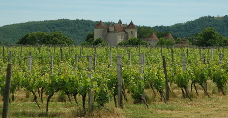 Sud-Ouest - Vignoble de Cahors - Château la Grezette - © M.CRIVELLARO Sud-Ouest - Vignoble de Cahors - Château la Grezette - © M.CRIVELLARO