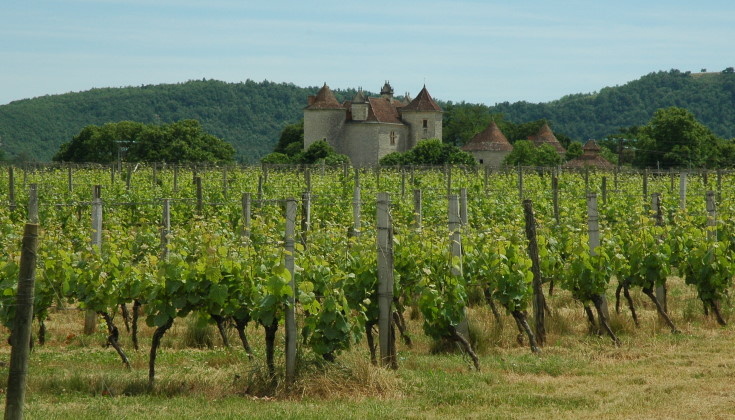 Sud-Ouest - Vignoble de Cahors - Château la Grezette - © M.CRIVELLARO