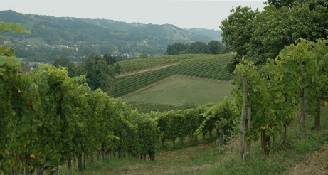 Vignobles de Jurançon